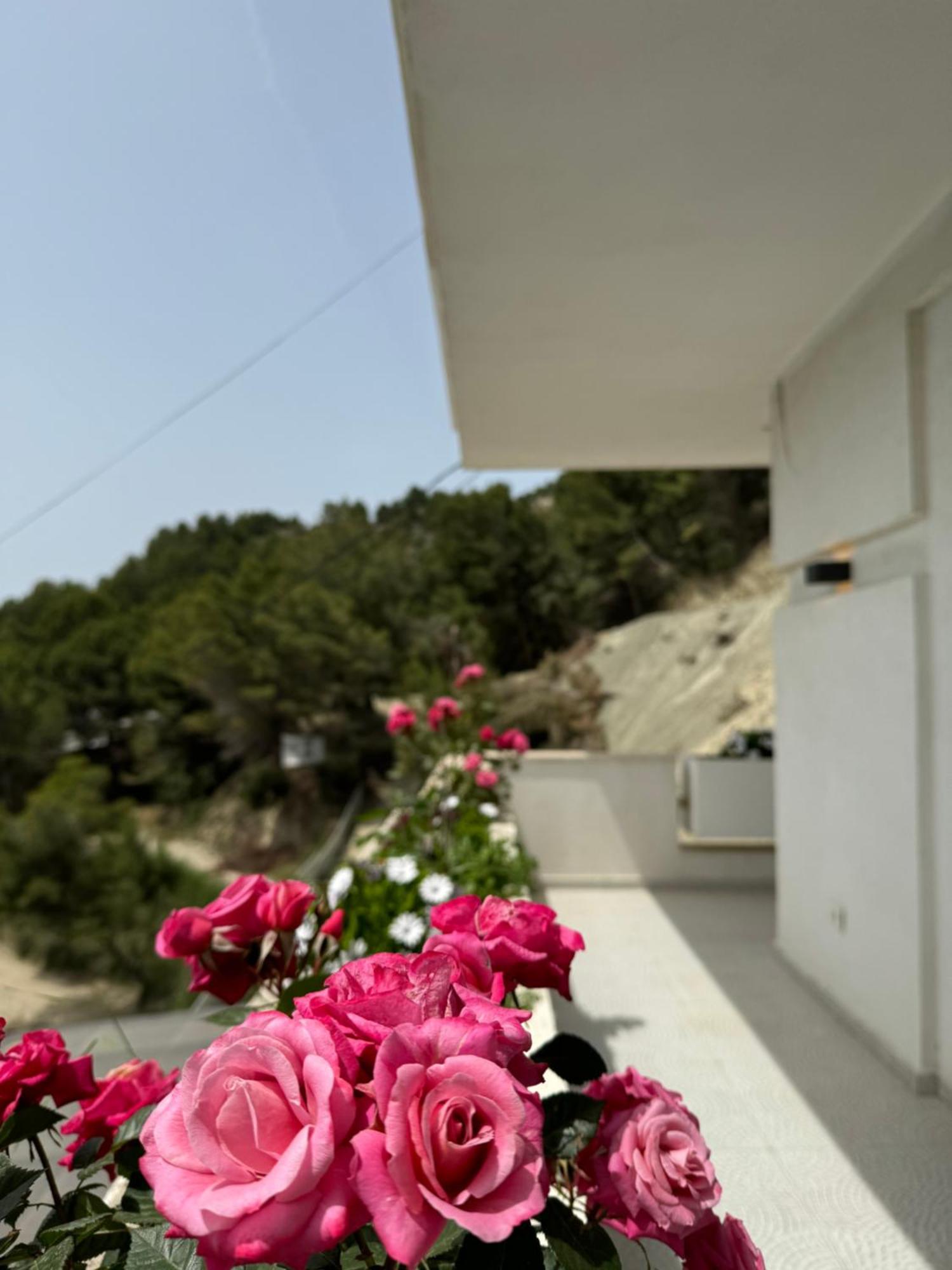 Villa D Hotel-Restaurant-Private Beach Durres Luaran gambar